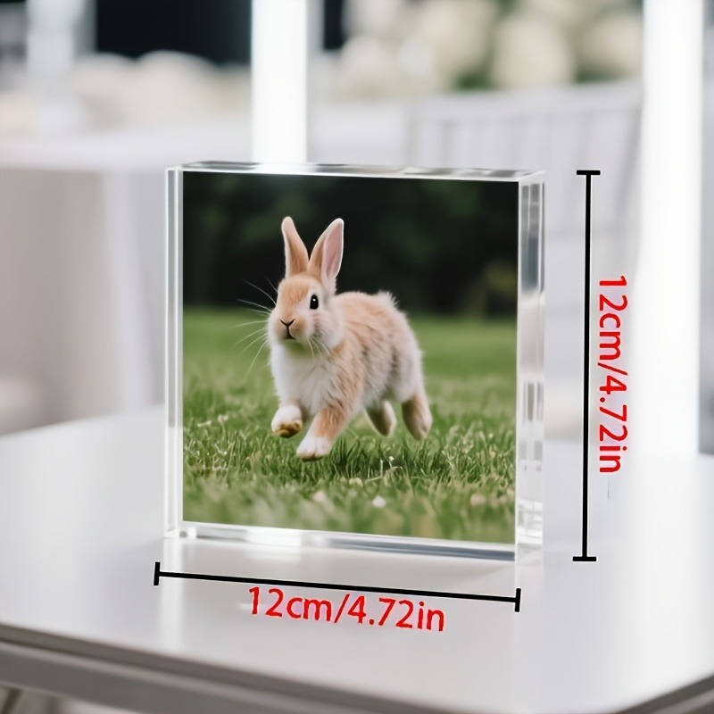 قطعة واحدة من هدية مخصصة من ال - مراجعة Photo Acrylic Block وسعره